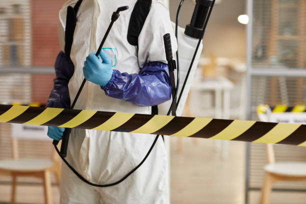 Professional Sewage Cleanup technician working in Kent, WA